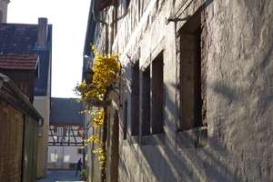 Das besondere Haus in Eibelstadt-Denkmalgeschützt mit attraktiven Fördermöglichkeiten – Kirchgasse 3, 97246 Eibelstadt – Vorschaubild 6