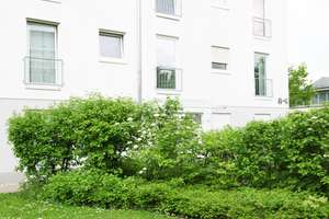Moderne 2-Zimmer-EG-Wohnung mit großem Garten im Europaviertel – Franklin-Roosevelt-Str. 6, 65197 Rheingauviertel / Hollerborn, Wiesbaden – Vorschaubild 4