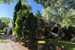 Property thumbnail 33