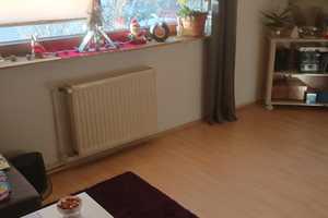 Ein Einfamilienhaus mit Werkstatt – Bramfeld, Hamburg, 22175 Hamburg – Vorschaubild 12