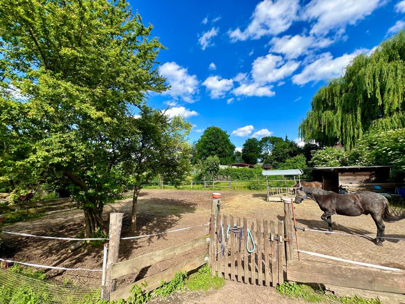 Haus kaufen in Bruchköbel ImmoScout24