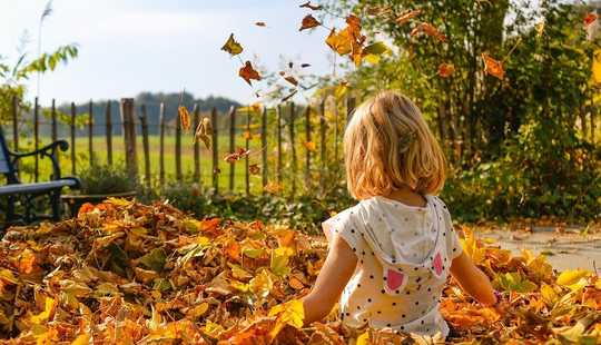 Bild von ** Viel Platz für sich und die Familie 6 Zimmer Haus in Kleefeld mit Klinkeraktion**
