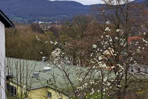 Godesberg-Lannesdorf, Appartement in attraktiver Lage – Die vollständige Adresse der Immobilie erhältst du vom Anbieter., 53177 Lannesdorf, Bonn – Vorschaubild 3