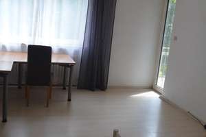 Provisionsfreie 4Zimmer Wohnung in Frankfurt ab sofort für Familien oder 3er WG zu vermieten – 60439 Niederursel, Frankfurt am Main – Vorschaubild 3