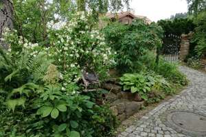 Provisionsfrei* provisionsfrei! Haus mit ELW, 255qm WF, 3966qm Garten, Einliegerwohung, Ortsradlage, – Die vollständige Adresse der Immobilie erhältst du vom Anbieter., 72178 Waldachtal – Vorschaubild 3