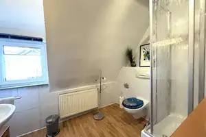 Freistehendes Einfamilienhaus mit Altbaucharme und großzügigem Garten – Miltenberg (Kreis) – Vorschaubild 20