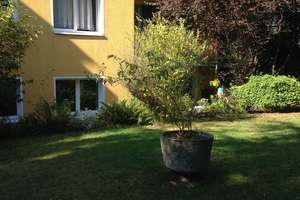 Wunderschöne Gartenwohnung mit Terrasse,  Gartenblick und Wohlfühlbad – Die vollständige Adresse der Immobilie erhältst du vom Anbieter., 50767 Pesch, Köln – Vorschaubild 32