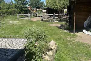 Einfamilienhaus mit großem sonnigen Grundstück