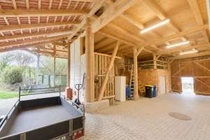 Traumhaftes Einfamilienhaus mit weitläufigem Garten und Scheune in Jühnde bei Göttingen. – Die vollständige Adresse der Immobilie erhältst du vom Anbieter., 37127 Jühnde – Vorschaubild 9