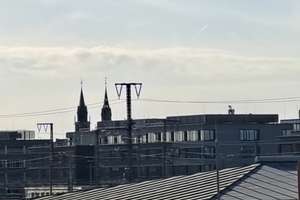 Provisionsfrei: Freie, romantiche und wunderschöne 3-ZW direkt an der Wöhrder Wiese – Die vollständige Adresse der Immobilie erhältst du vom Anbieter., 90478 Glockenhof, Nürnberg – Vorschaubild 19