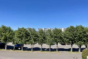 NEUER PREIS-FERIEN- APPARTEMENT IN BURGTIEFE – Strandhaferweg 6, 23769 Fehmarn – Vorschaubild 12