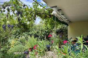 Doppelhaushälfte mit Weitblick & liebevoll gestaltetem Garten – Koblenz – Vorschaubild 12
