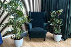 Garten inklusive: 3-Zimmer-Wohnung mit Einbauküche zum Wohlfühlen – Katharinenweg 9, 17489 Innenstadt, Greifswald – Vorschaubild 9