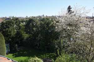 Charmante Doppelhaushälfte mit üppigem Garten und Garage – Rhein-Neckar-Kreis – Vorschaubild 4