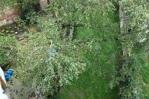 Property thumbnail 16