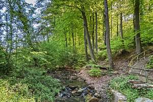 Naturnah wohnen in Bergisch Neukirchen: Großzügiges Reihenendhaus mit Blick über die Wiembachaue! – Die vollständige Adresse der Immobilie erhältst du vom Anbieter., 51381 Lützenkirchen, Leverkusen – Vorschaubild 25