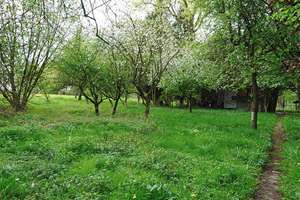 Doppelbungalow, Weideland, Stallung – Untersteinbach 1, 51429 Asselborn, Bergisch Gladbach – Vorschaubild 11
