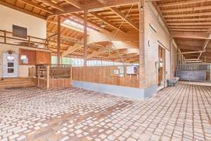 Reitanlage kaufen Bayern – mit gehobenem Wohnkomfort & umfassenden Trainingsbedingungen! – Die vollständige Adresse der Immobilie erhältst du vom Anbieter., 91477 Markt Bibart – Vorschaubild 8