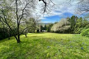 Provisionsfrei! Ein architektonisches Juwel! Villa mit Innenschwimmbad! Ortsrandlage, Alpensicht. – Die vollständige Adresse der Immobilie erhältst du vom Anbieter., 78262 Gailingen am Hochrhein – Vorschaubild 25