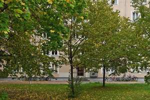 Gute Anbindung an den ÖPNV - Ideal für Schüler, Studenten, etc. – Rothenburger Str. 204, 90439 Sündersbühl, Nürnberg – Vorschaubild 7