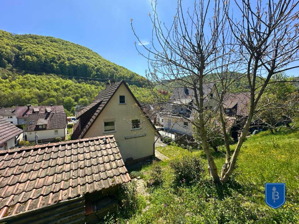 hinter dem Haus