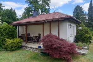 Bungalow mit großem Grundstück in Bohnsdorf ohne Makler  – Teichhuhnsteig 6, 12526 Bohnsdorf, Berlin – Vorschaubild 6