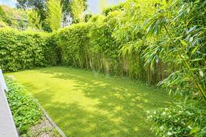 Lichtdurchflutetes Zuhause mit Garten und Maisonette-Charakter im Grünen – Die vollständige Adresse der Immobilie erhältst du vom Anbieter., 69120 Neuenheim, Heidelberg – Vorschaubild 15