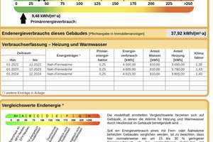 Reihenhaus in ruhiger Lage zu verkaufen  – Die vollständige Adresse der Immobilie erhältst du vom Anbieter., 68305 Waldhof, Mannheim – Vorschaubild 20