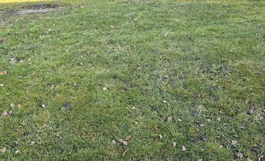 Seltene Gelegenheit in Reutlingen-Sondelfingen - Wer zuerst kommt, baut zuerst!