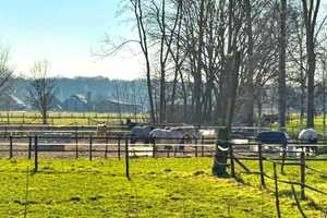 "Wohnen wo andere Urlaub machen" - freistehendes Haus in 47669 Wachtendonk – Kleve (Kreis) – Vorschaubild 2