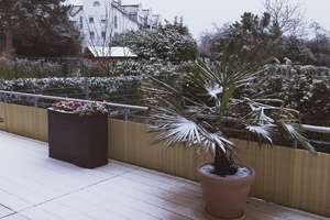 Helle 3-Zimmer Wohnung mit großzügiger Terrasse in Wiesbaden-Dotzheim – Felsenstraße 45, 65199 Dotzheim, Wiesbaden – Vorschaubild 5