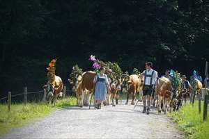 Property thumbnail 15