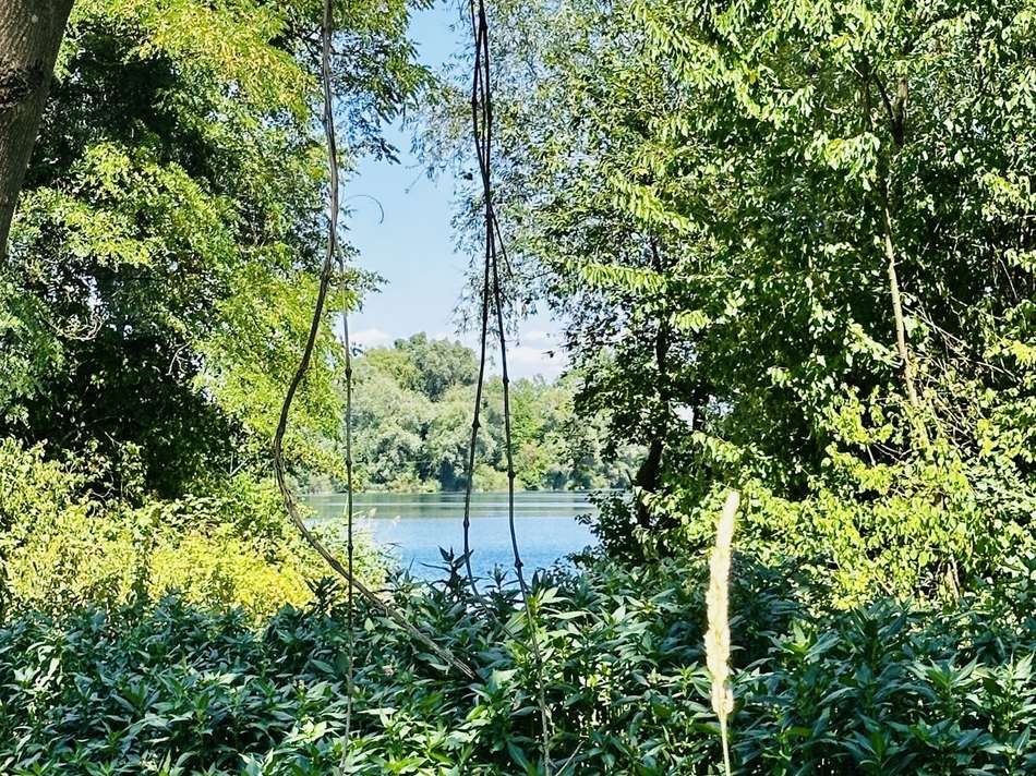 Ansichten außen (14)