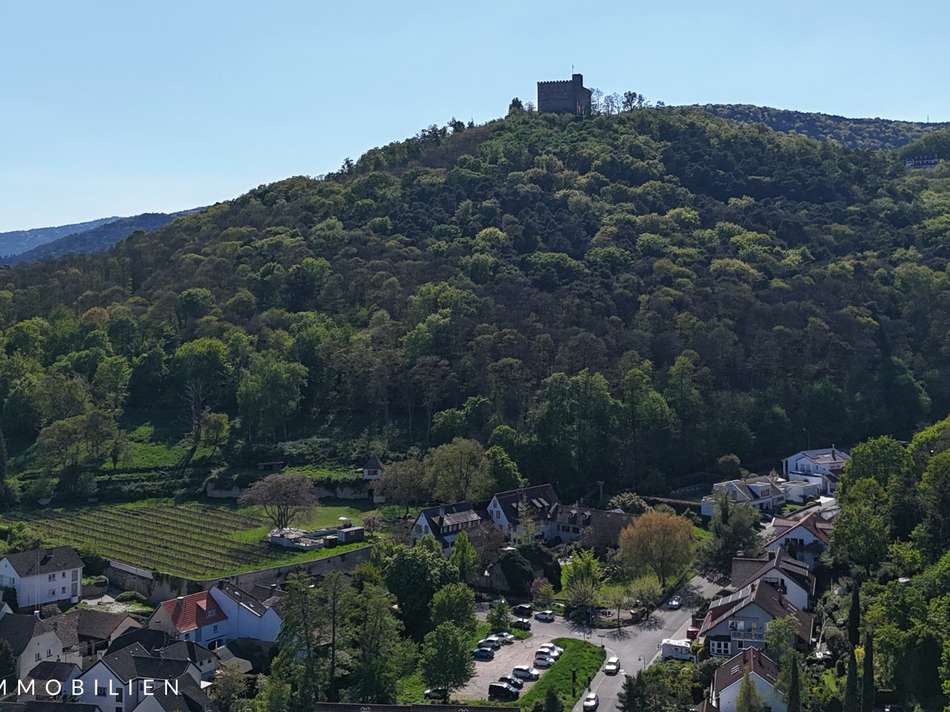 Hambacher Schloss