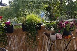 Renovierte, sonnige Wohnung im Haumann-/Pelmanviertel. – Die vollständige Adresse der Immobilie erhältst du vom Anbieter., 45131 Rüttenscheid, Essen – Vorschaubild 15