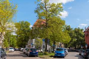 Möblierte 2-Z.WHG mit Balkon & Fahrrädern am Park Sanssouci – Lennestr. 43a, 14469 Brandenburger Vorstadt, Potsdam – Vorschaubild 16