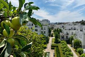 Ankommen. Durchatmen. Zuhause sein. – Exklusives Penthouse im Le Flair – Die vollständige Adresse der Immobilie erhältst du vom Anbieter., 40477 Pempelfort, Düsseldorf – Vorschaubild 1
