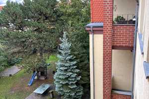 Property thumbnail 8