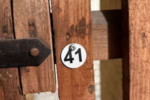 Hübsche Einzimmerwohnung in der beliebten Mainzer Neustadt – Die vollständige Adresse der Immobilie erhältst du vom Anbieter., 55118 Neustadt, Mainz – Vorschaubild 8