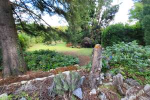 Ein Haus mit Geschichte und Charakter – großer Garten mit altem Baumbestand! – 97084 Heidingsfeld, Würzburg – Vorschaubild 25