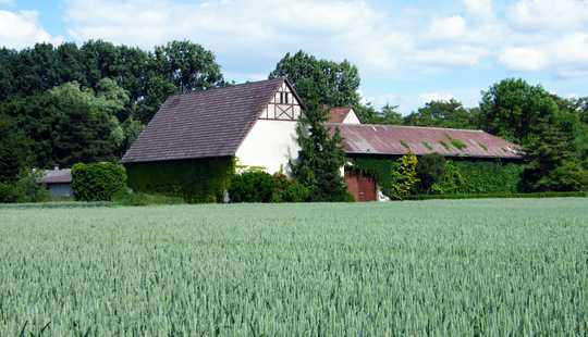 Bild von Historisches landwirtschaftliches Anwesen mit viel Potenzial & in herrlicher Pfungstädter Außenlage