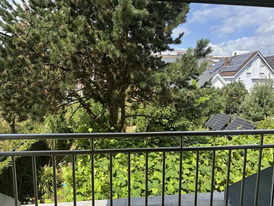 Ausblick