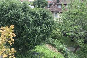 NEUER PREIS: 2,5-Zimmer-Wohnung in bester Halbhöhenlage - 40 qm Terrasse und Süd-Ost-Ausrichtung – Hohentwielstraße 77, 70199 Heslach, Stuttgart – Vorschaubild 29