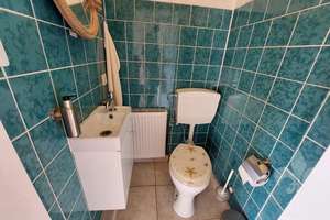 Idyllisches kleines EFH mit Garten, Pool und Platz zum Werkeln sucht liebe Mieter mit grünem Daumen – Alte Dorfstraße 12, 39164 Klein Wanzleben – Vorschaubild 16