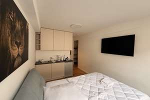 1 Zimmer Apartment möbliert Mannheim Innenstadt / Jungbusch – L12 7, 68161 Innenstadt/Jungbusch, Mannheim – Vorschaubild 4