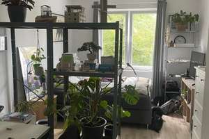 Zuhause mit drei Zimmern in zentraler Lage von Aachen – Peterstraße 32, 52062 Hansemannplatz, Aachen – Vorschaubild 3