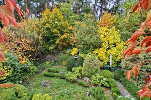 Charmantes Einfamilienhaus mit idyllischem Garten und Weitblick – Die vollständige Adresse der Immobilie erhältst du vom Anbieter., 67663 Lämmchesberg-Universitätswohnstadt, Kaiserslautern – Vorschaubild 11