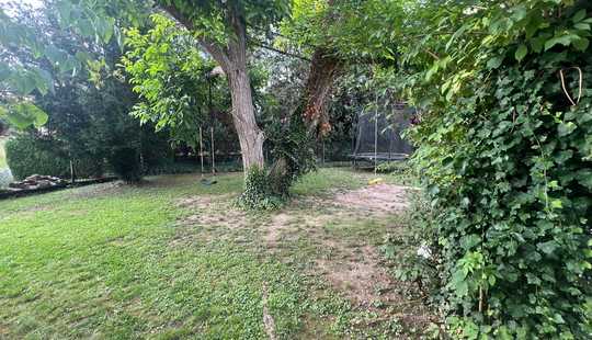 Bild von 3 Familienhaus in Bestlage von Erbach