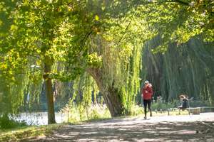 Wohnen de luxe nahe Lietzensee – 5 Zimmer, 2 Bäder – Suarezstraße 24, 14057 Charlottenburg, Berlin – Vorschaubild 5