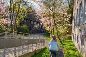 Wohnen direkt am Park -Neubau-Wohnung  mit Balkon, TG & LIFT in ruhiger Lage Reudnitz – Mierendorffstraße 12, 4317 Anger-Crottendorf, Leipzig – Vorschaubild 3
